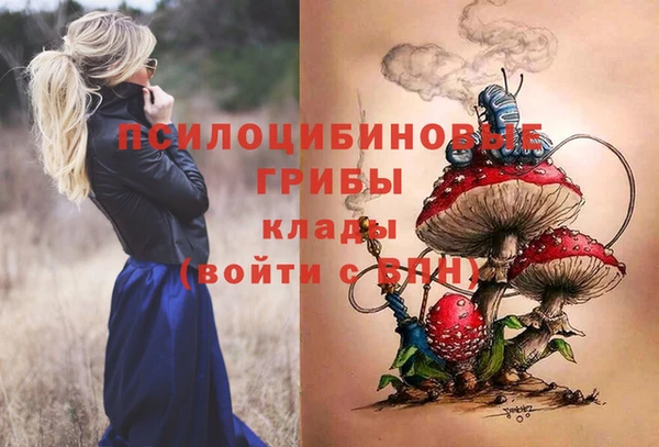 скорость Алзамай