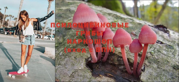 скорость Алзамай