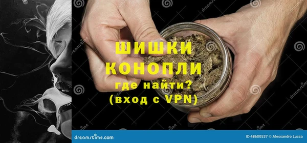прущие грибы Володарск