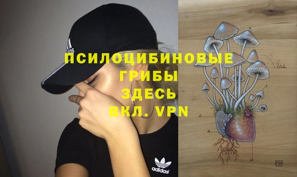 стафф Кодинск